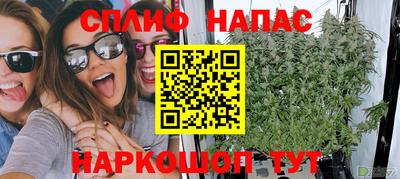 спиды Коммунар