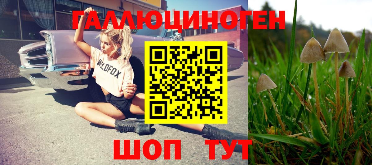Псилоцибиновые грибы GOLDEN TEACHER  Вход с VPN  Нягань  Псилоцибиновые грибы прущие грибы 